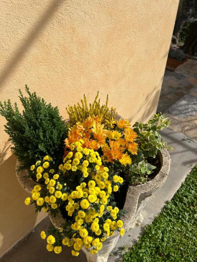 Agriturismo Le Merline Arnasco Luaran gambar